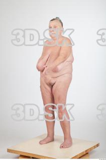 Body texture of Shelia 0029